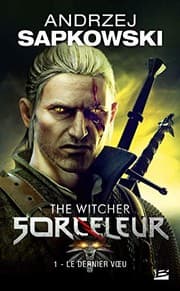 Couverture de Sorceleur, T1