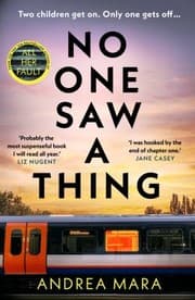 Couverture de No One Saw a Thing