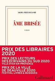 Couverture de Âme brisée