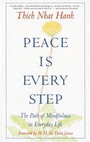 Couverture de Peace is every step