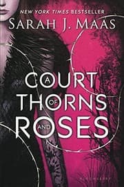 Un palais d'épines et de roses, Tome 01
