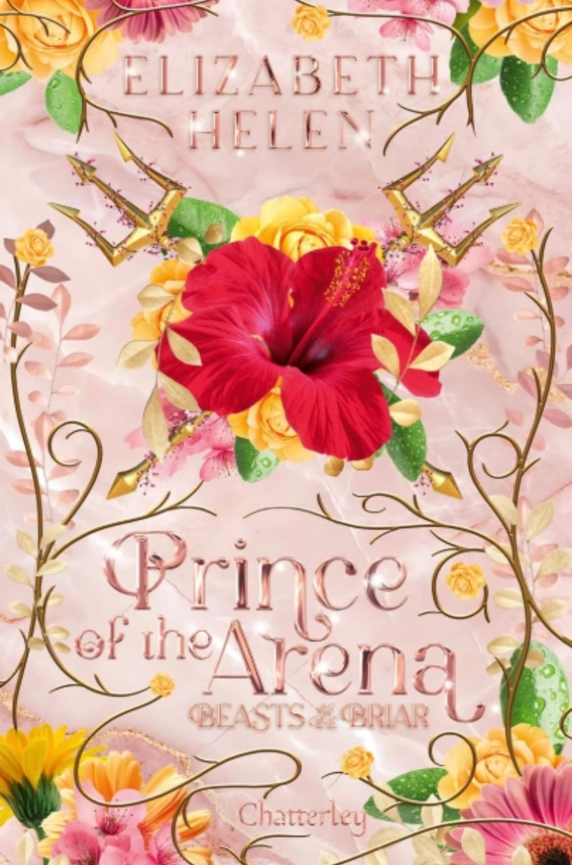 Couverture de Prince de l’arène